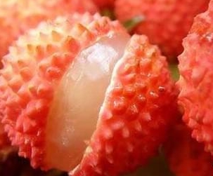下载操逼视频软件荔枝